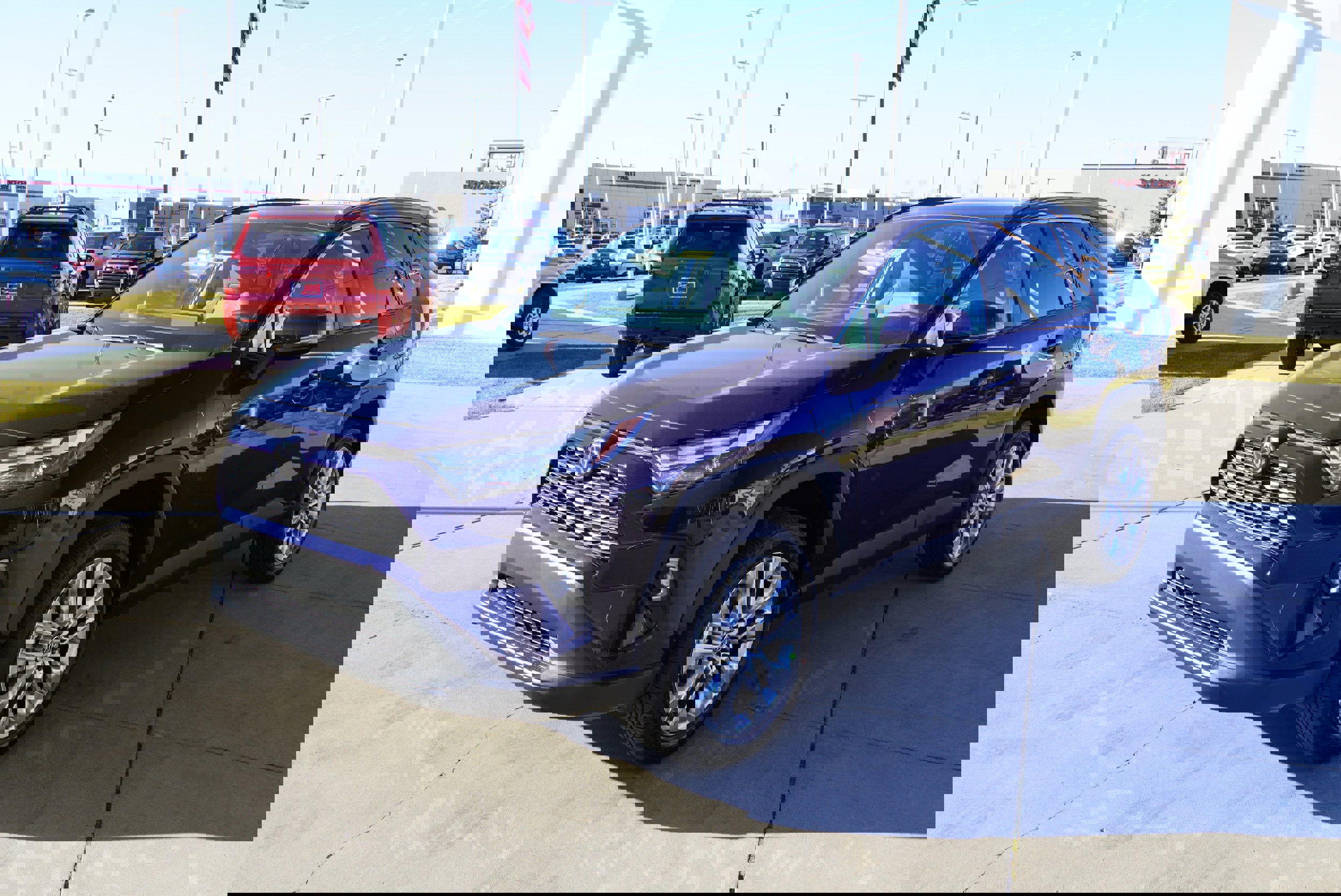 2025 Toyota RAV4 XLE Premium photo 3