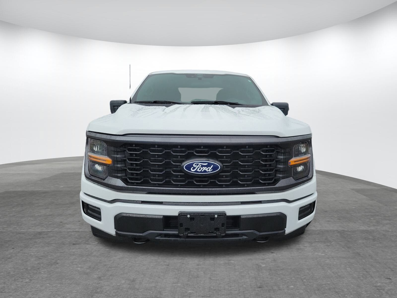 2025 Ford F-150 STX photo 2