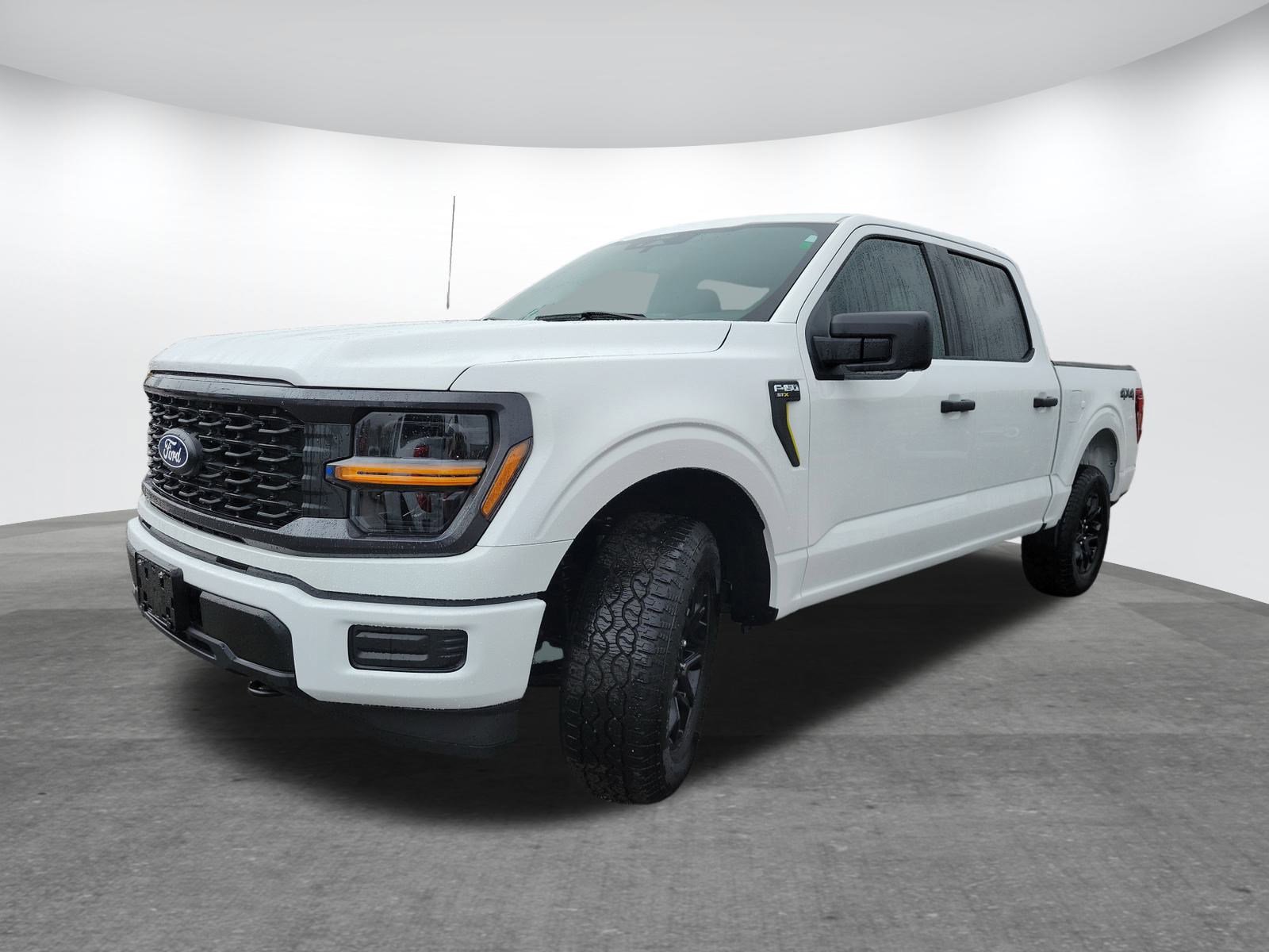 2025 Ford F-150 STX photo 3