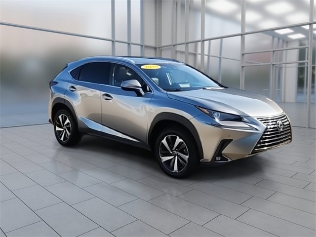 2018 Lexus NX 300 Luxury photo 2