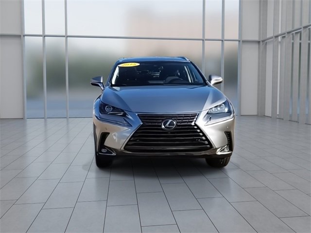 2018 Lexus NX 300 Luxury photo 3