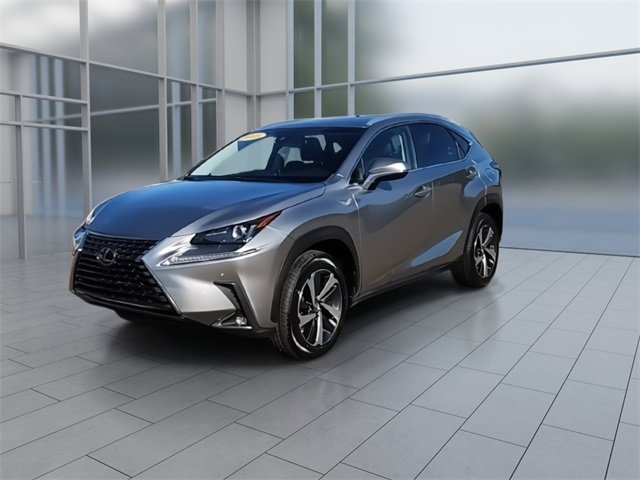 2018 Lexus NX 300 Luxury photo 4