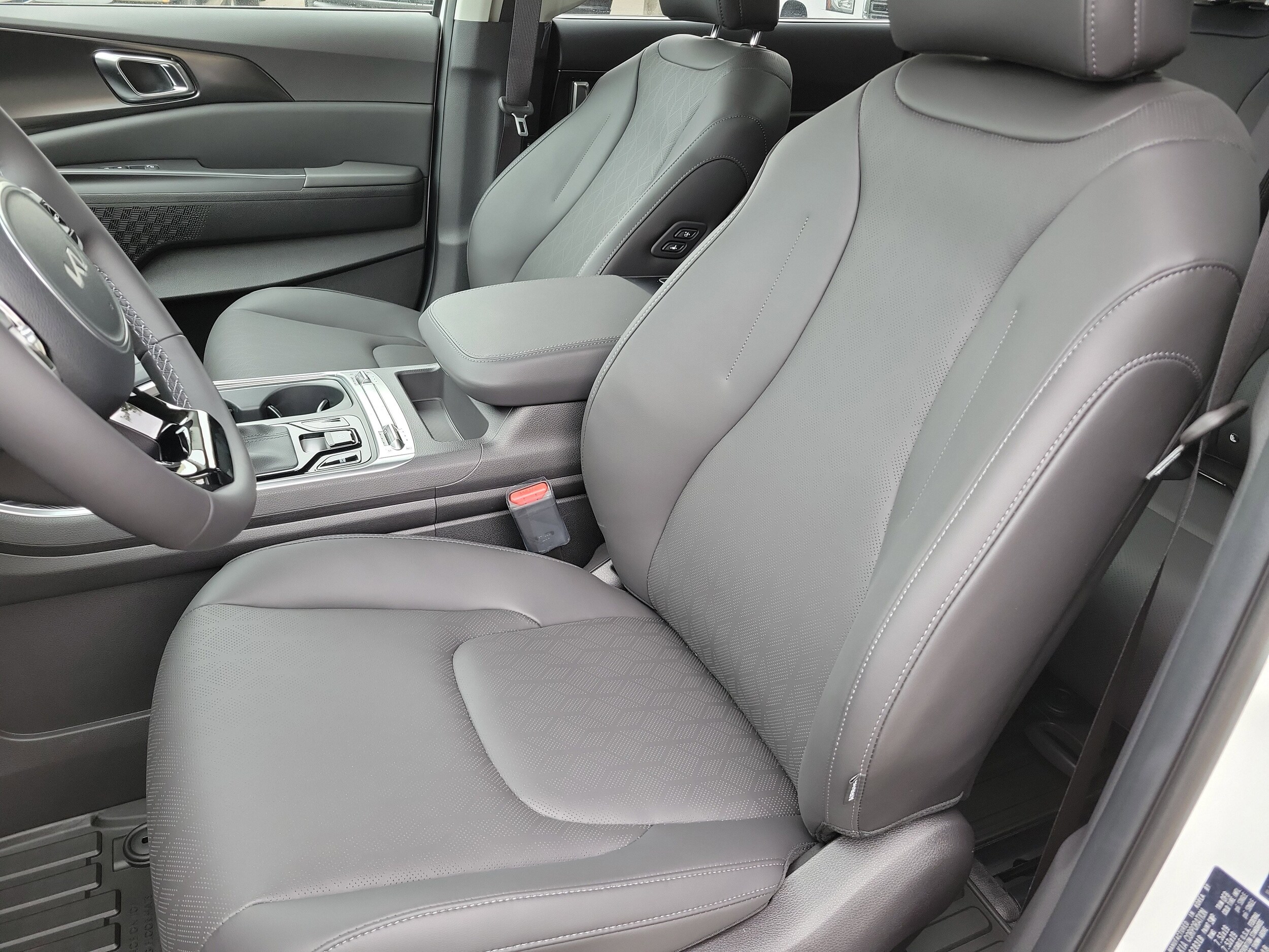 2026 Kia Carnival SX photo 2