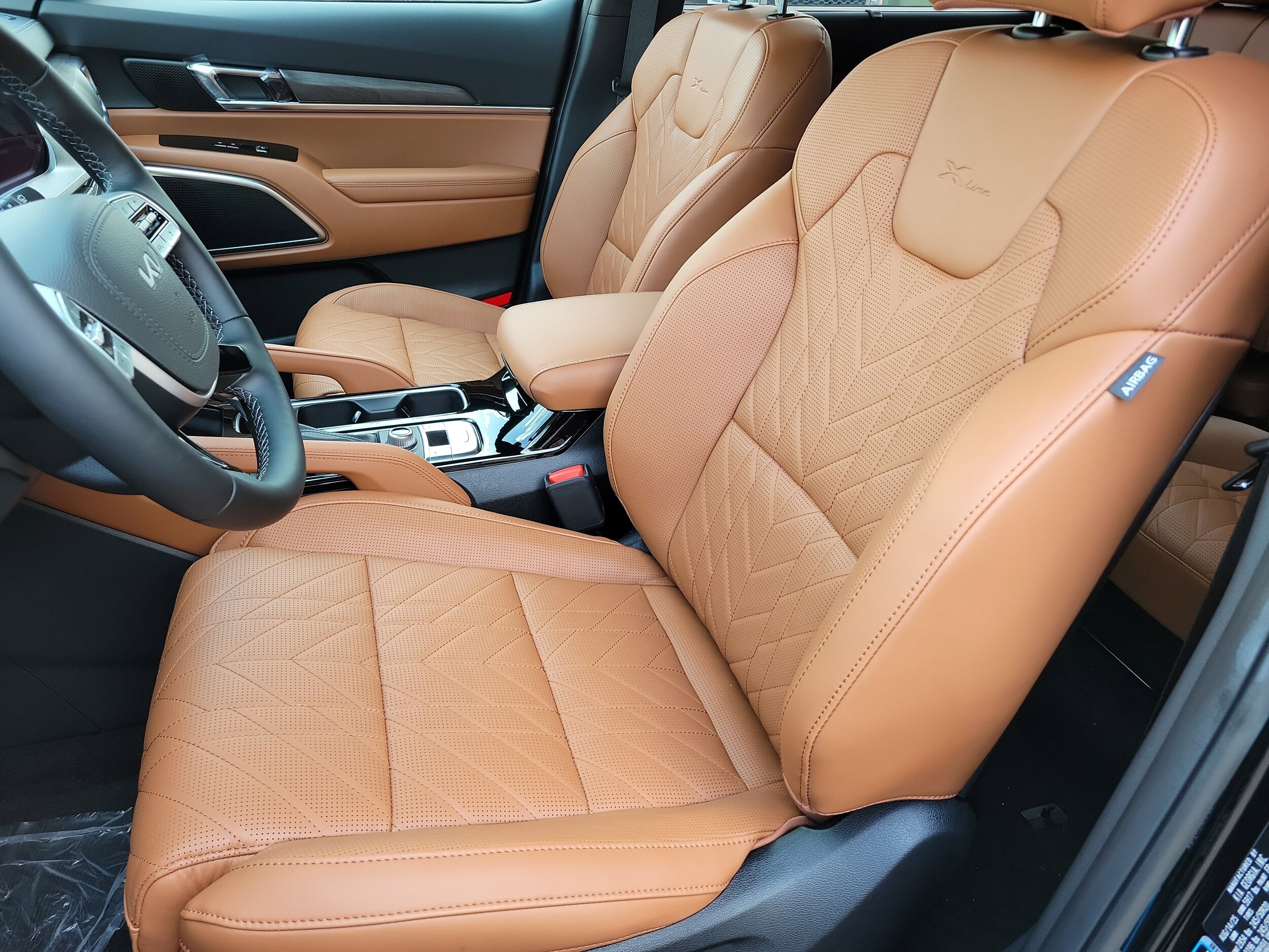 2025 Kia Telluride X-Line photo 4