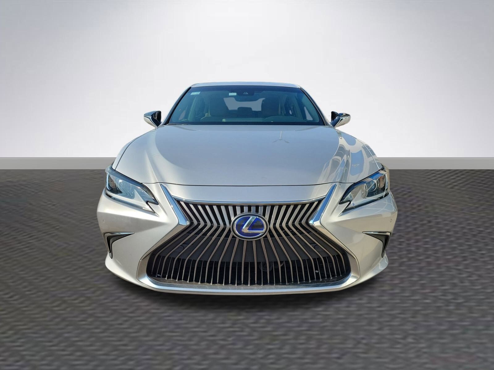 2021 Lexus ES 300h photo 2