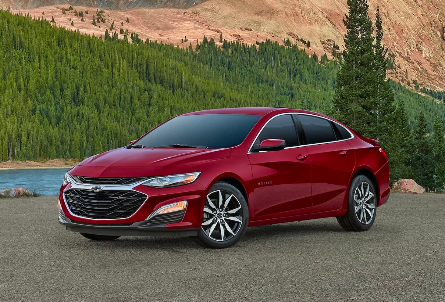 total motors sept. seo 1.png