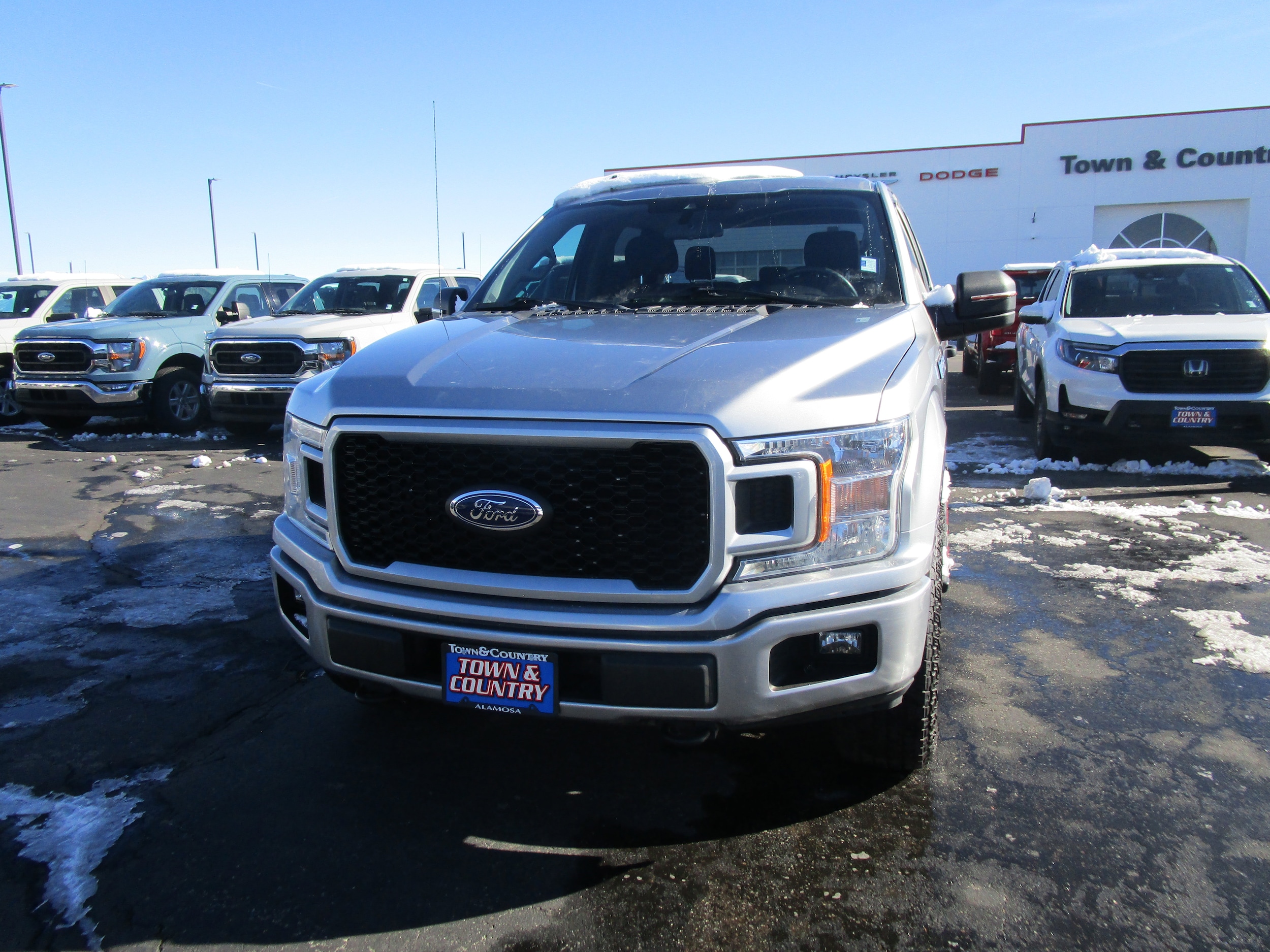 2020 Ford F-150 XL's photo