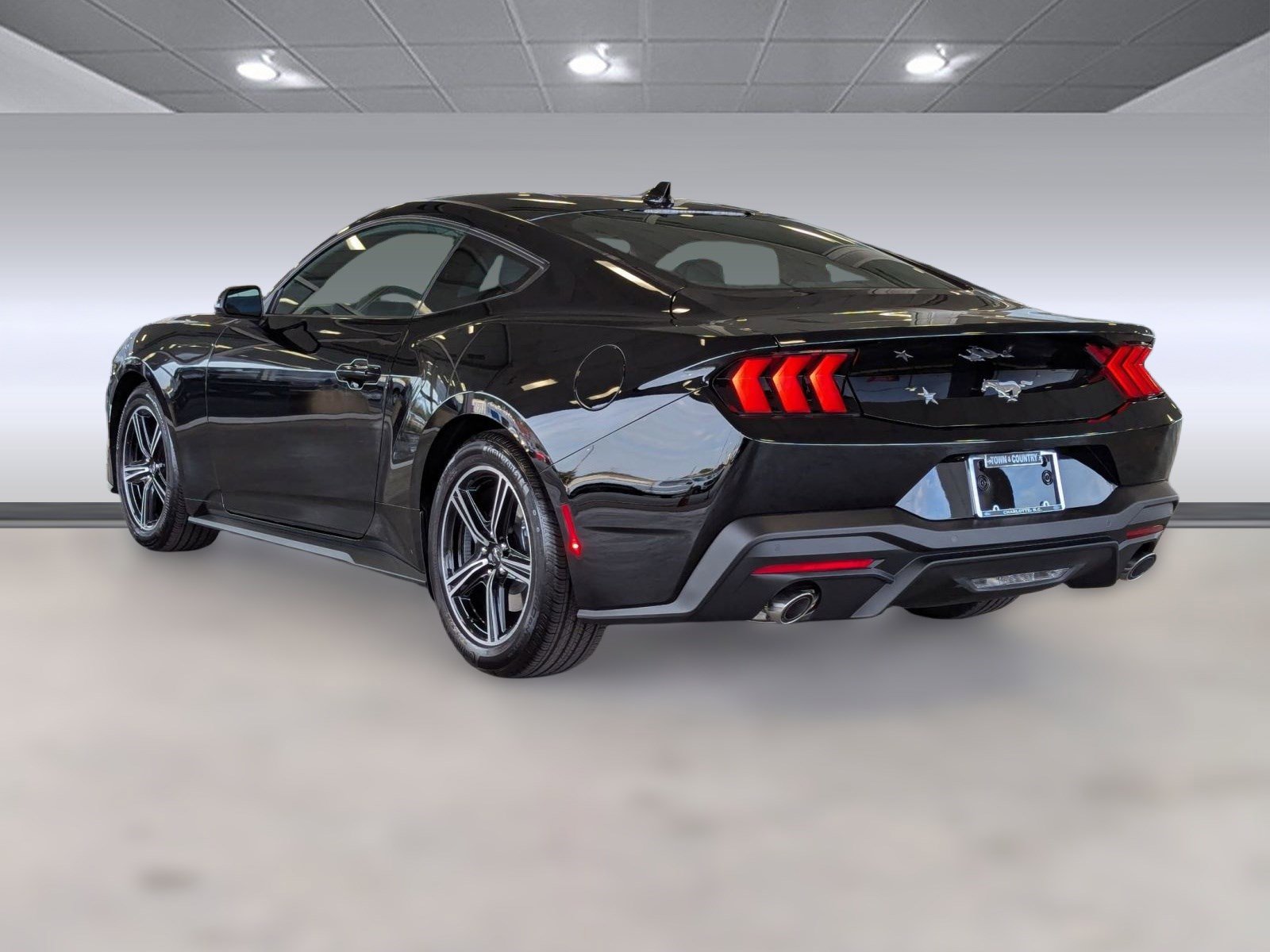 2025 Ford Mustang EcoBoost photo 3