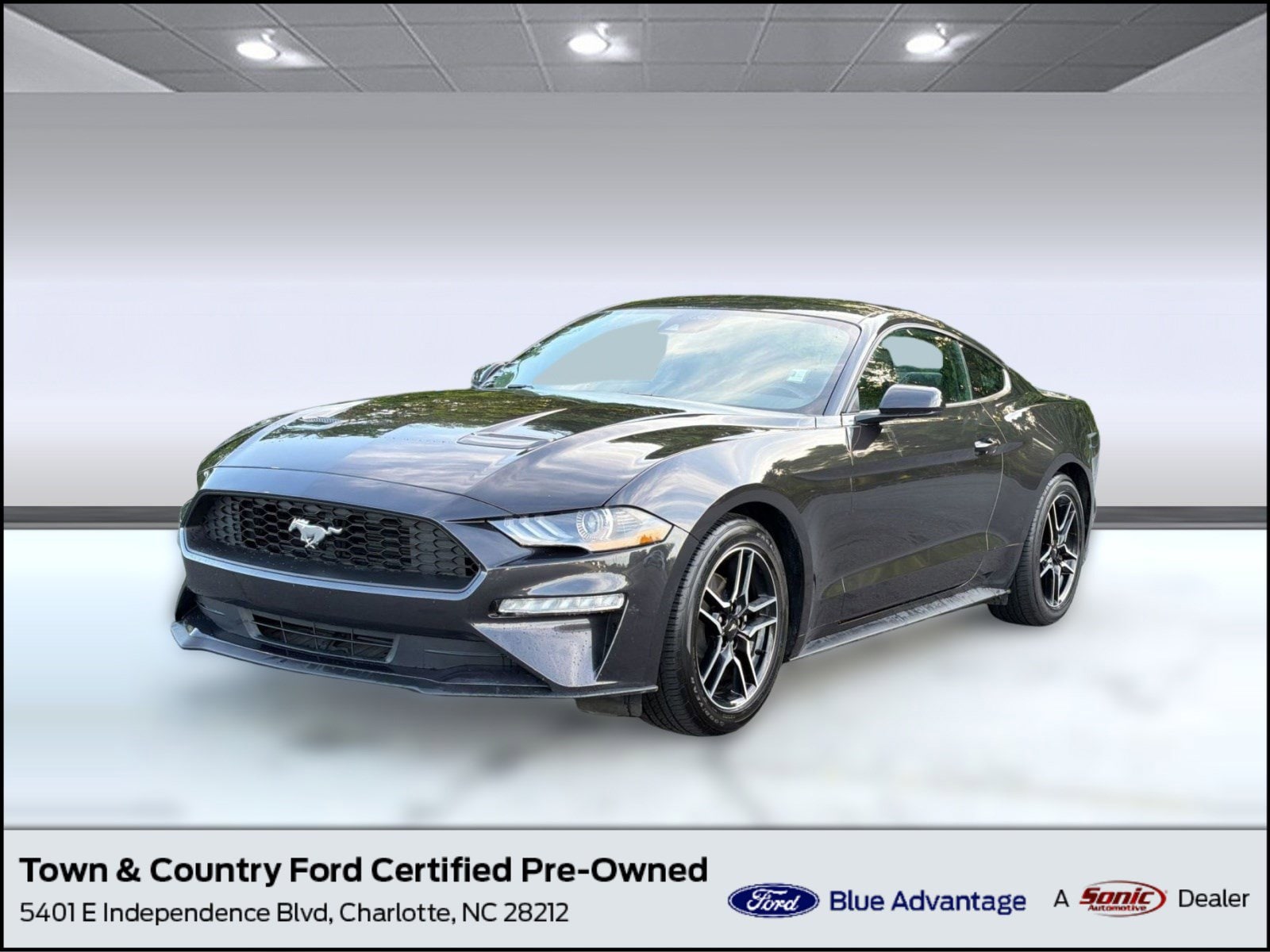 2023 Ford Mustang EcoBoost Coupe Premium's photo