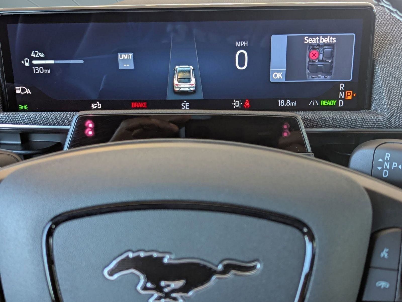 2025 Ford Mustang Mach-E GT - Photo 20