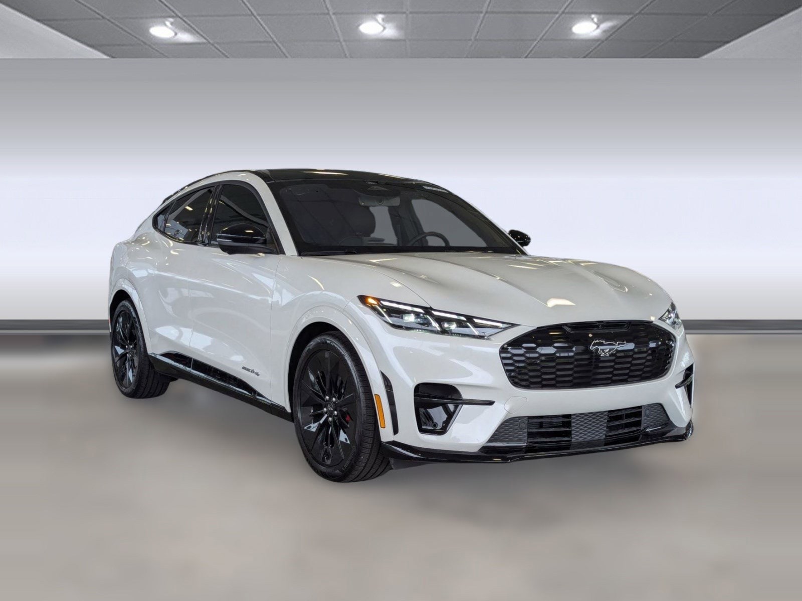 2025 Ford Mustang Mach-E GT - Photo 6