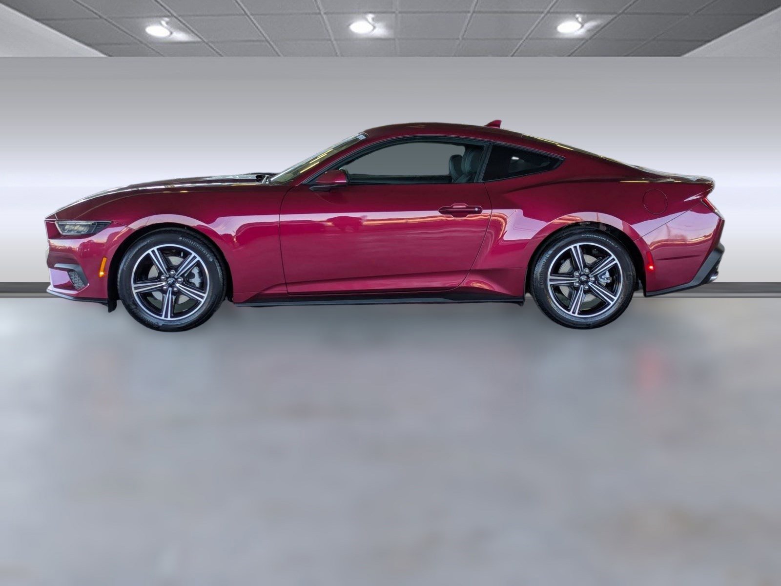 2025 Ford Mustang EcoBoost photo 2