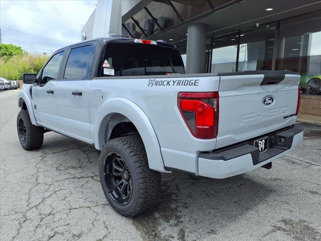 2025 Ford F-150 STX photo 3