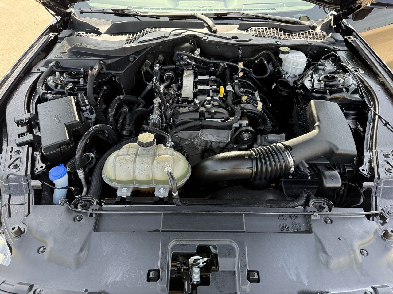 2022 Ford Mustang EcoBoost - Photo 26