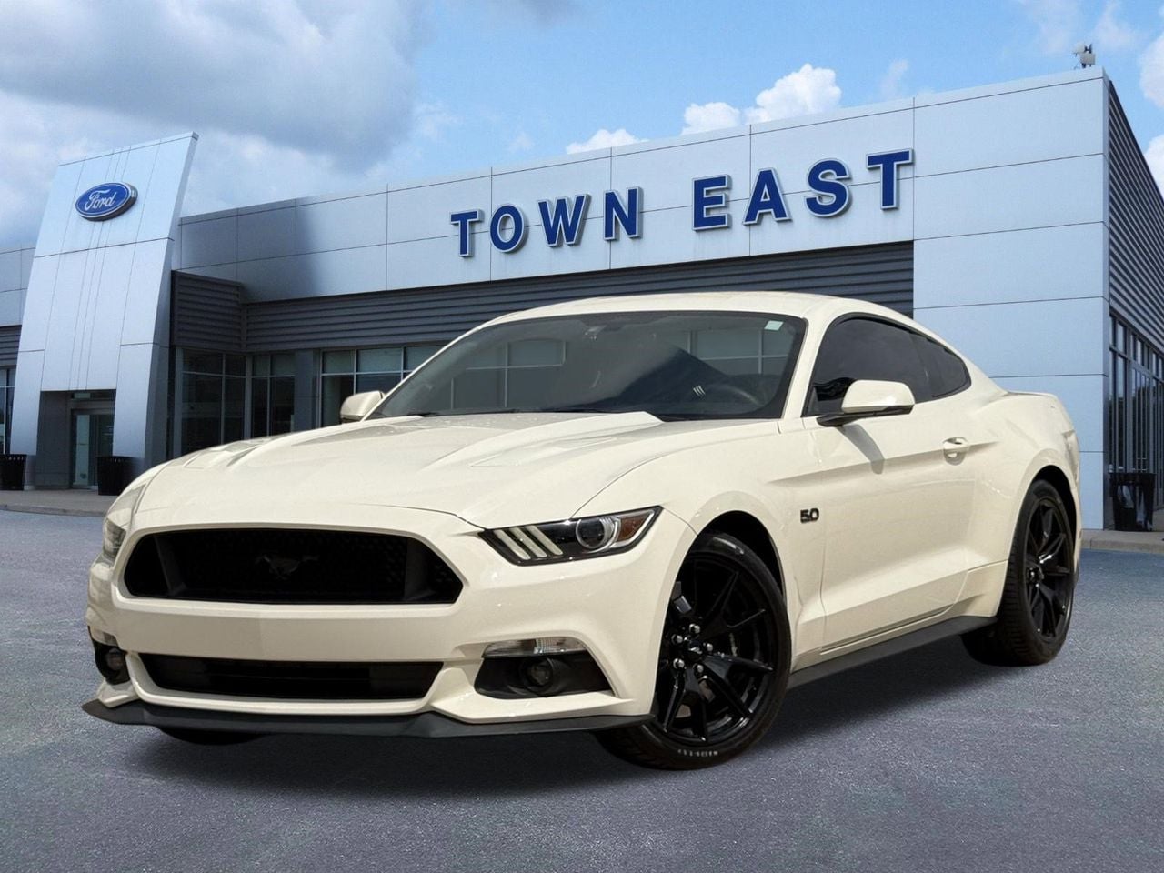 2015 Ford Mustang GT 50 Years Limited Edition's photo