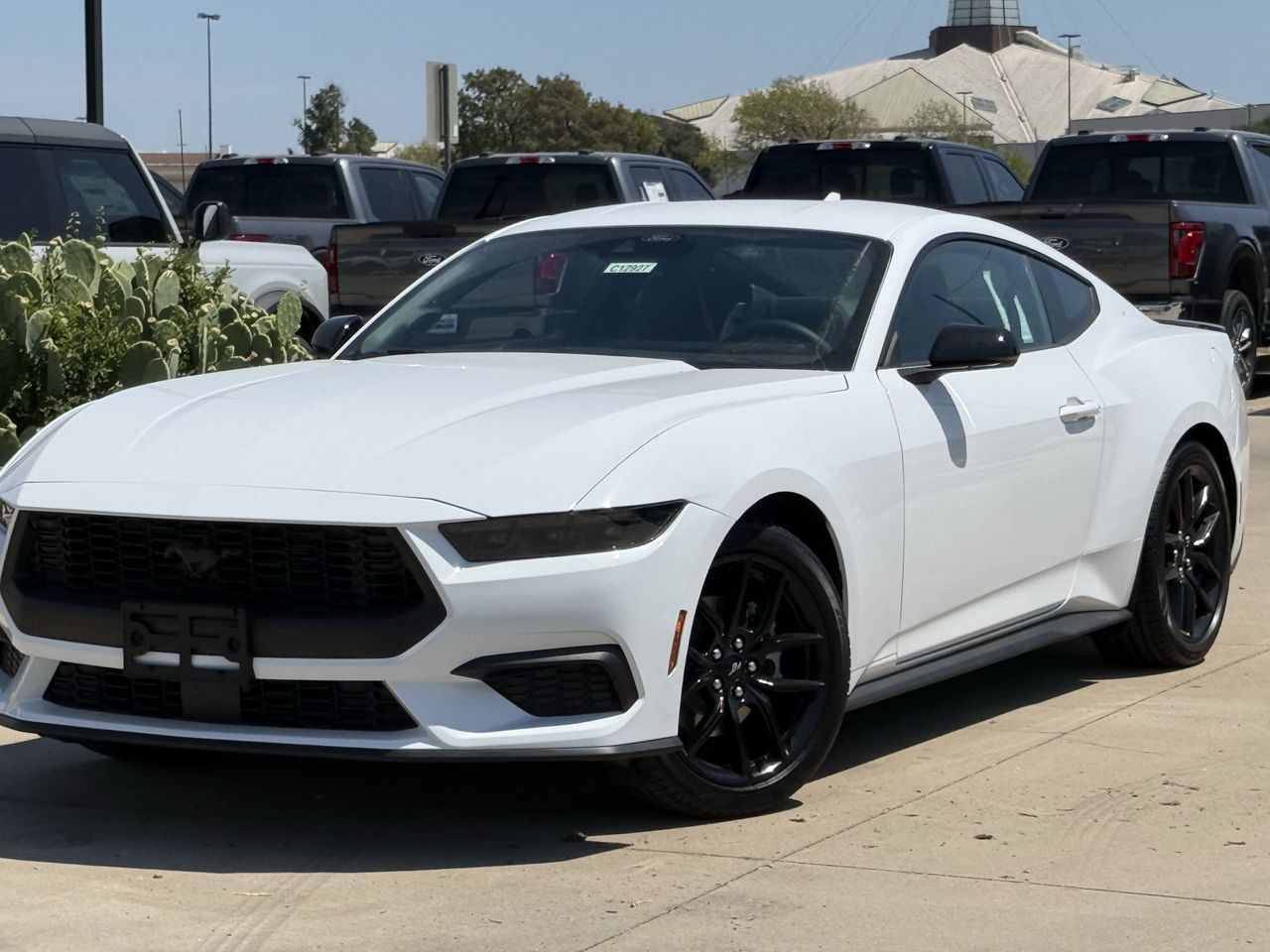 New 2026 Ford Mustang Ecoboost Premium