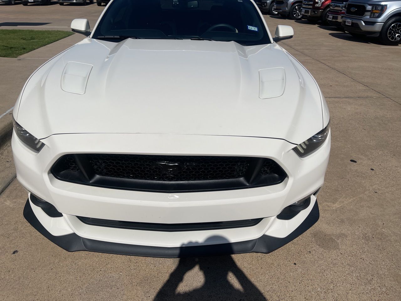 2015 Ford Mustang GT 50 Years Limited Edition's photo