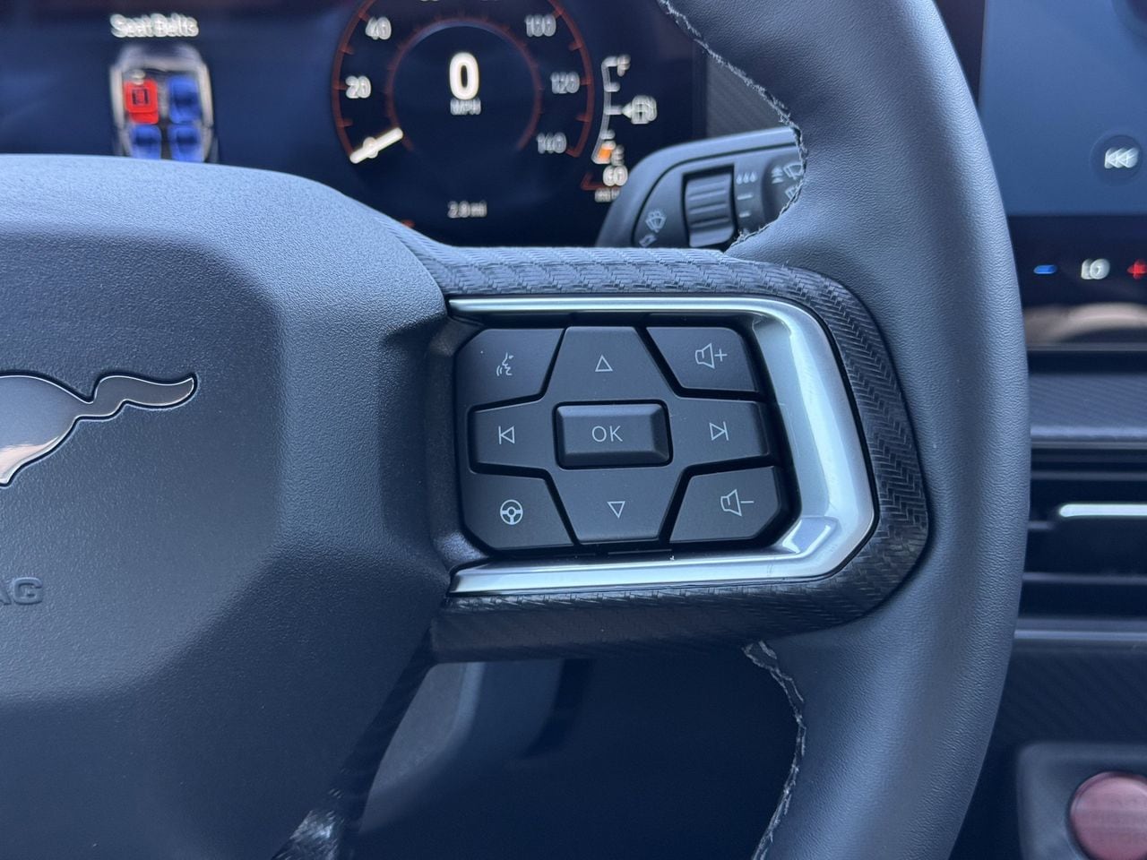 2026 Ford Mustang EcoBoost Fastback - Photo 13