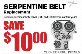Serpentine Belt