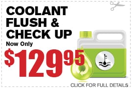 Coolant Flush & Check Up