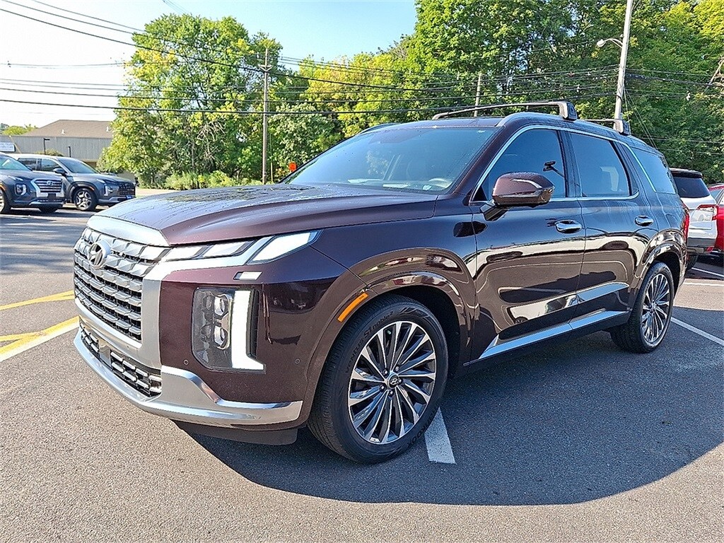 2024 Hyundai Palisade Calligraphy photo 3