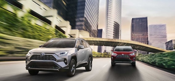 New 2019 Toyota Rav4 At Towne Toyota Ledgewoodnj