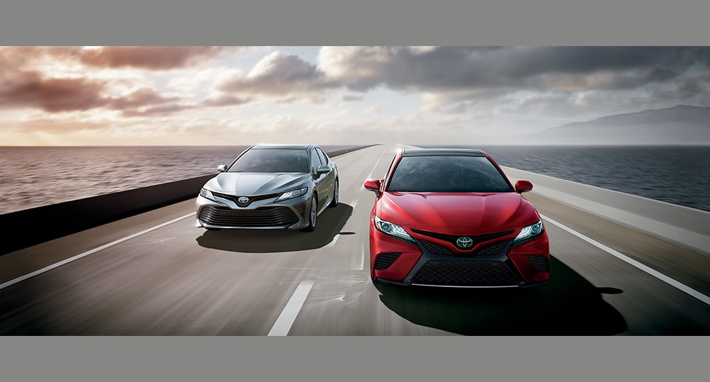 New 2019 Toyota Camry at Towne Toyota Ledgewood NJ