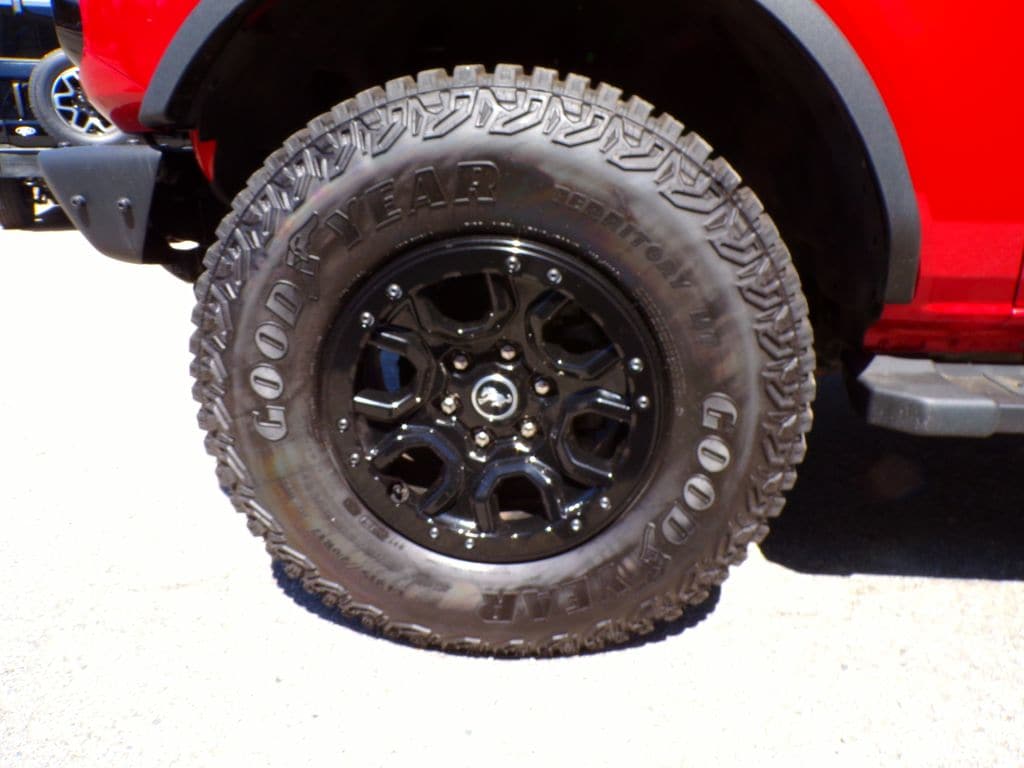 Photo 5