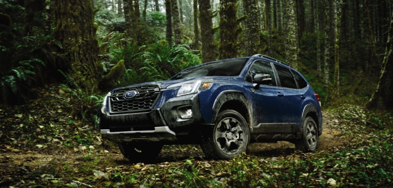 2024 Subaru Forester Wilderness