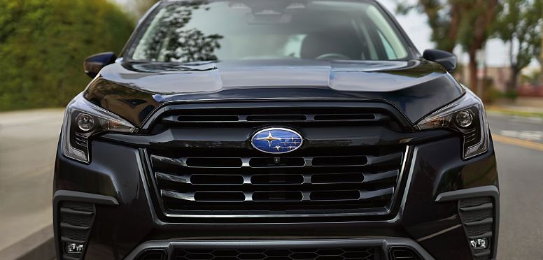 Performance and Capability