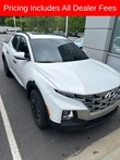  Hyundai Santa Cruz