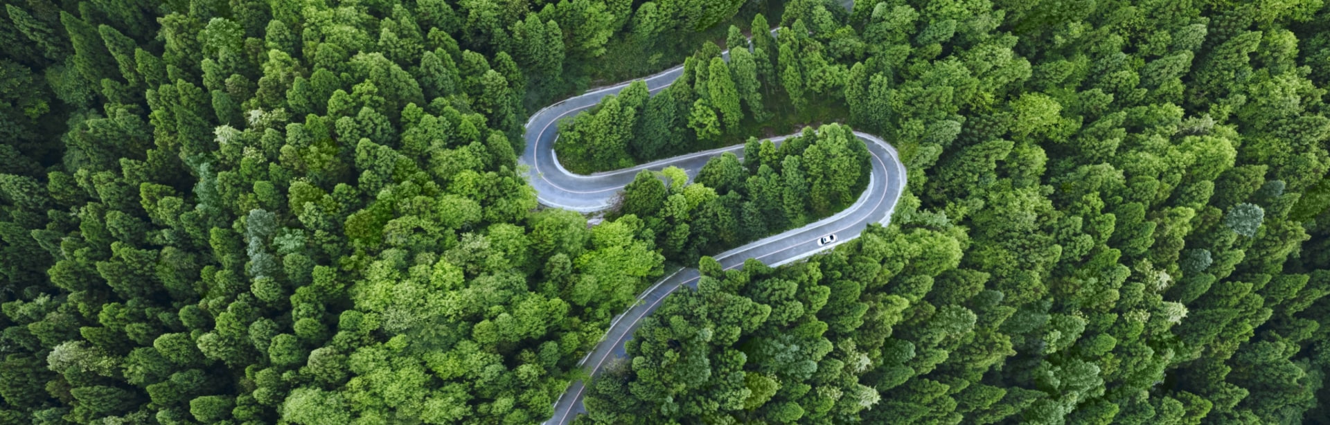 Environmental Benefits of EV Ownership