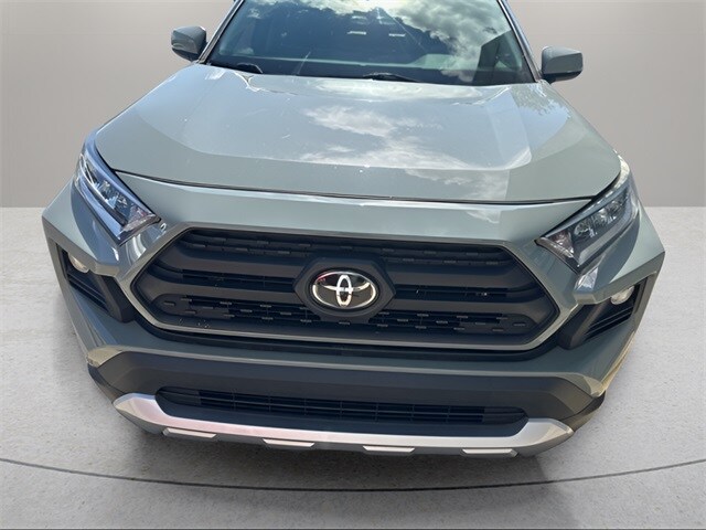 2019 Toyota RAV4 Adventure photo 2