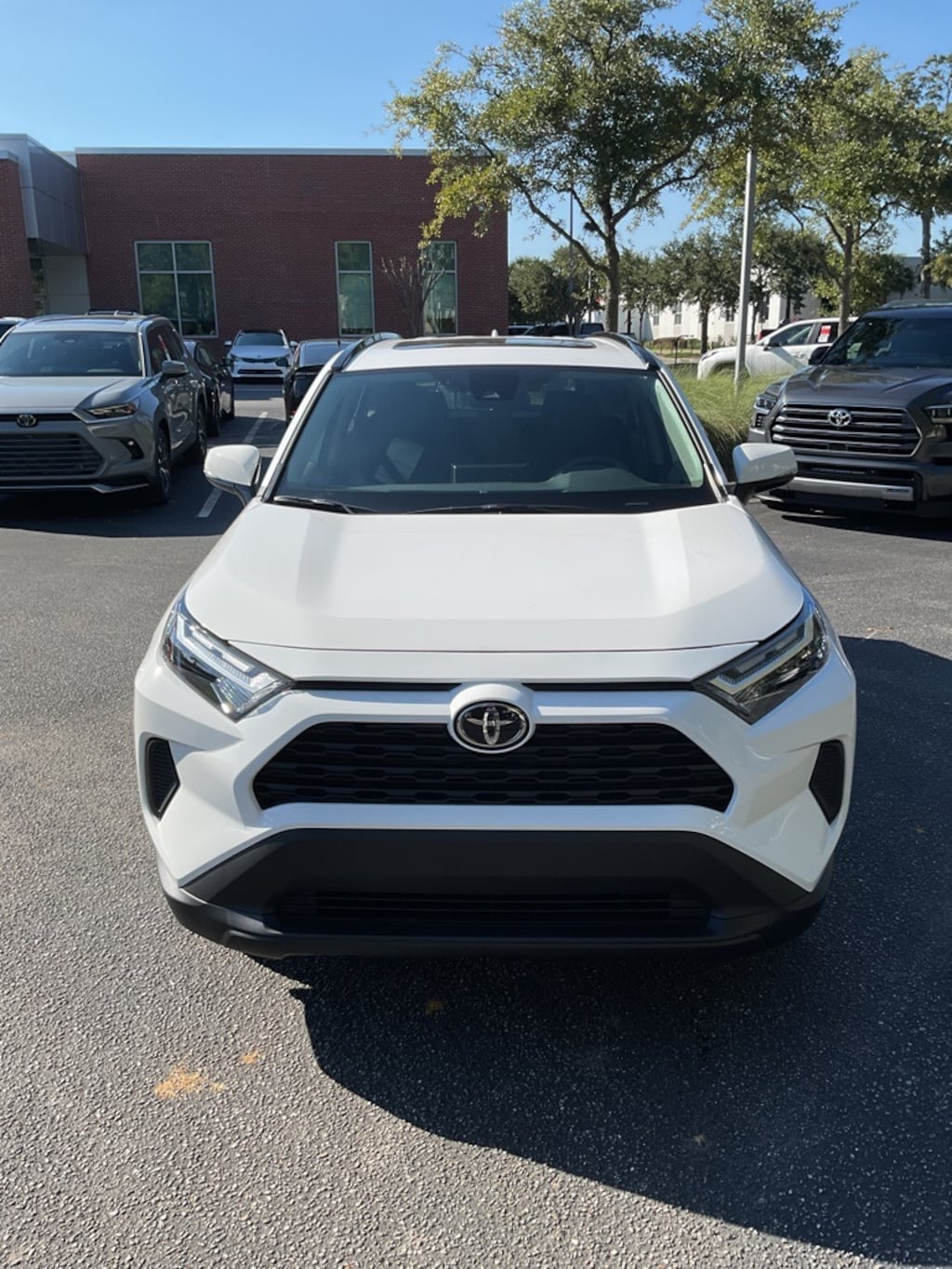 New 2025 Toyota RAV4 XLE SUV