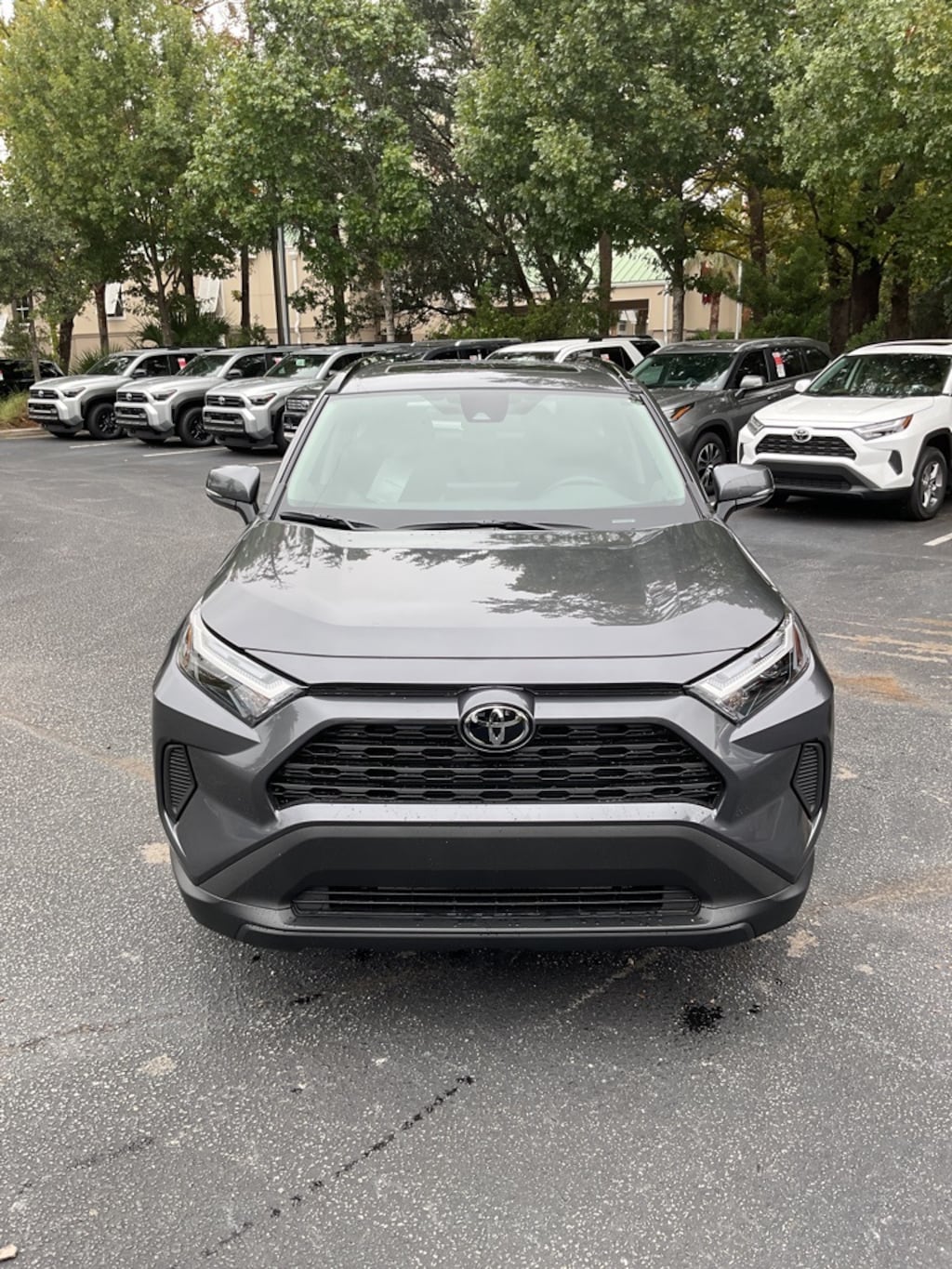 New 2025 Toyota RAV4 XLE SUV