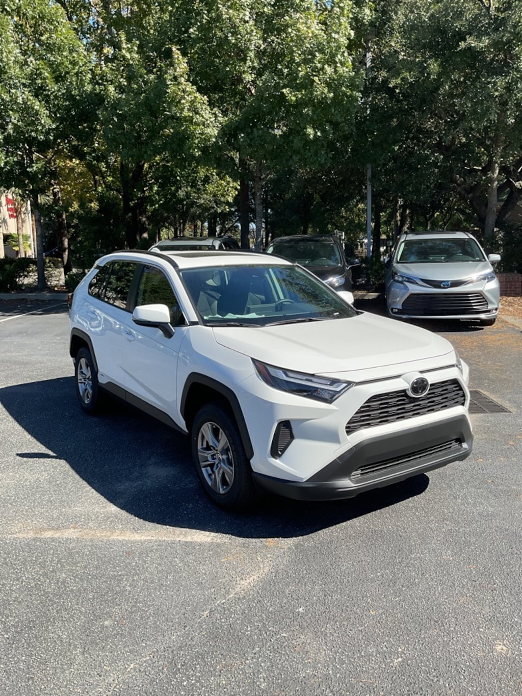 New 2025 Toyota RAV4 Hybrid XLE SUV