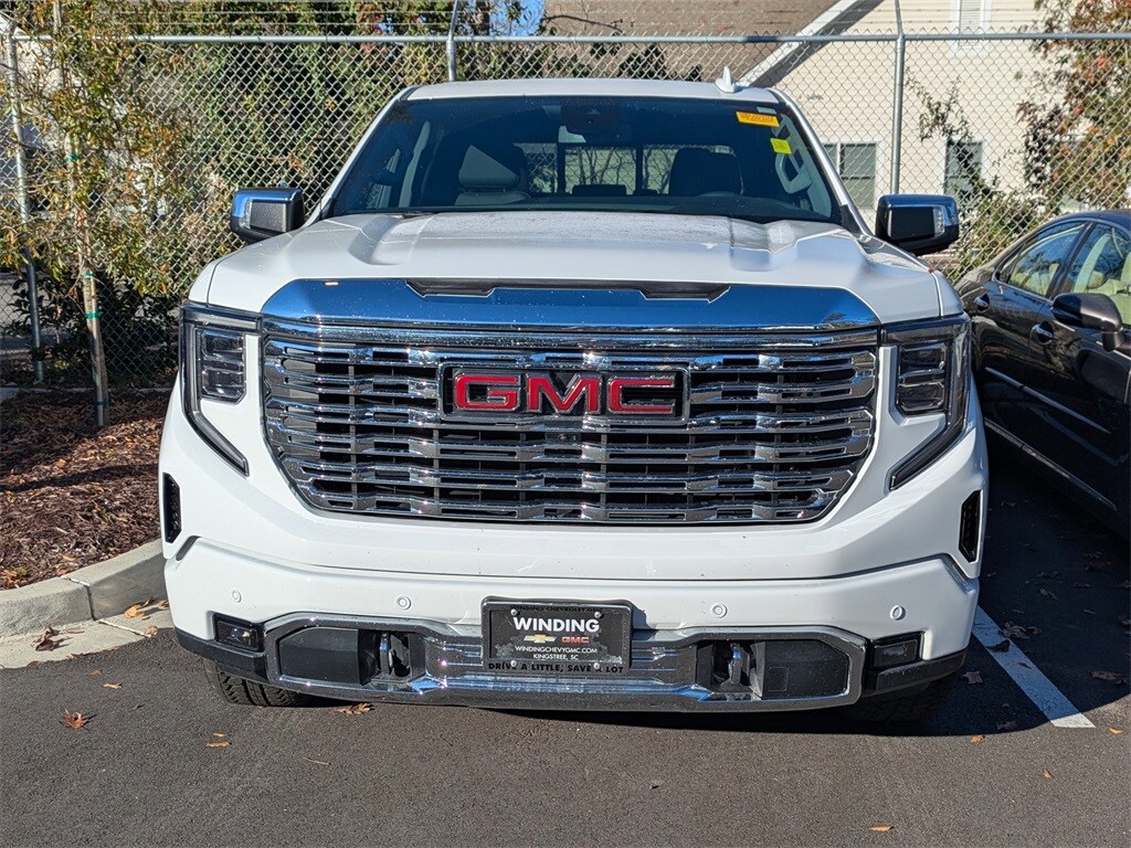 2023 Gmc Sierra 1500 Denali photo 2
