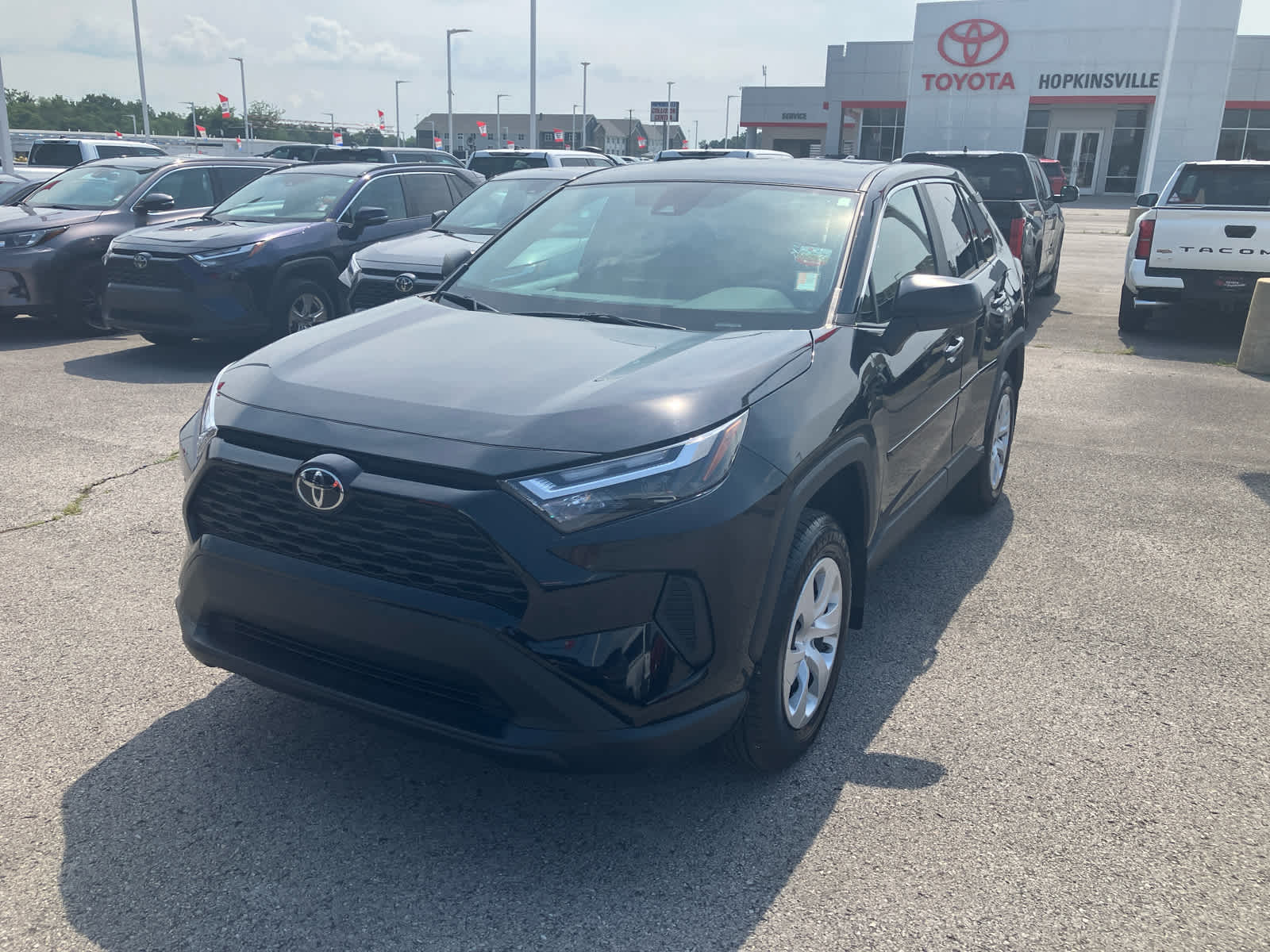 Photo 5