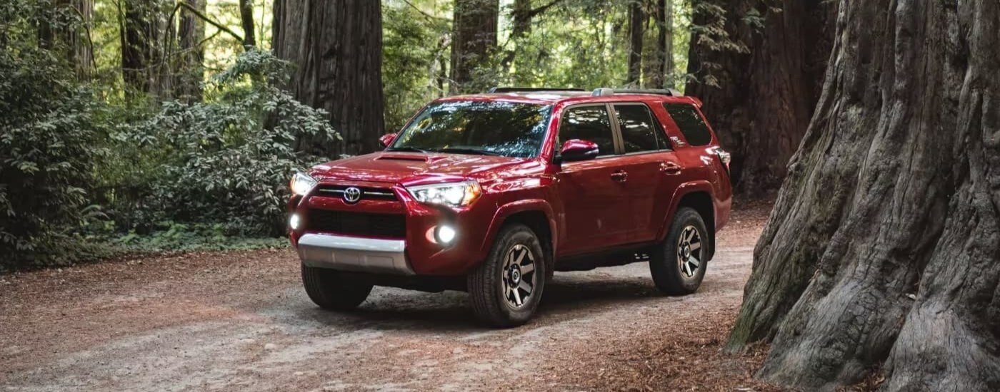 A red 2023 used Toyota 4Runner for sale near Nashville driving on a trail.