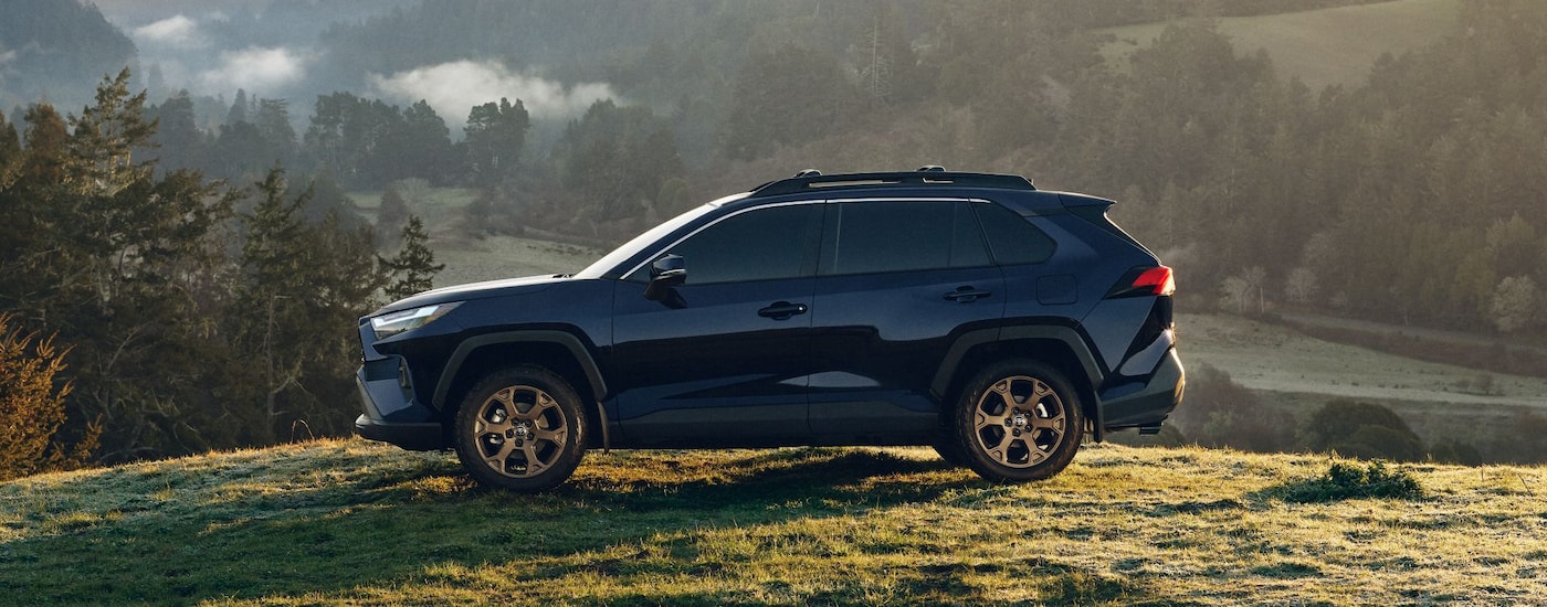 A blue 2024 Toyota RAV4 parked on a sunny hill.