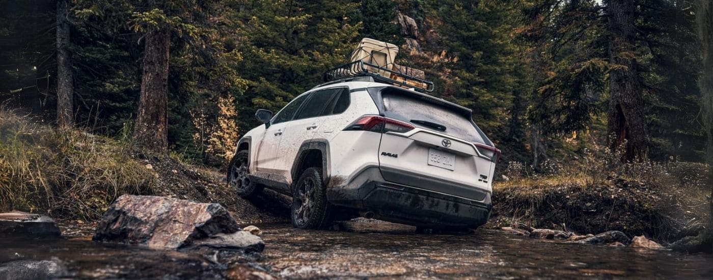 Rear of a white 2025 Toyota RAV4 driving up a dirt hill.