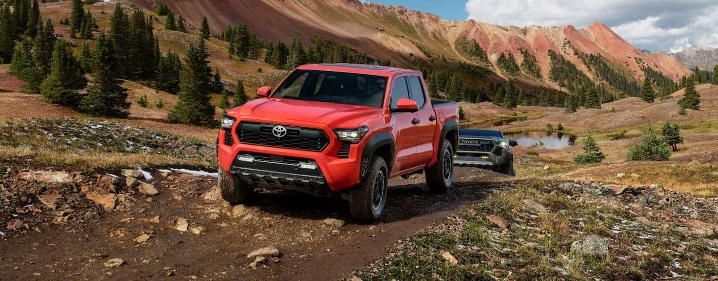 A red 2024 Toyota Tacoma for sale near Cadiz off-roading.