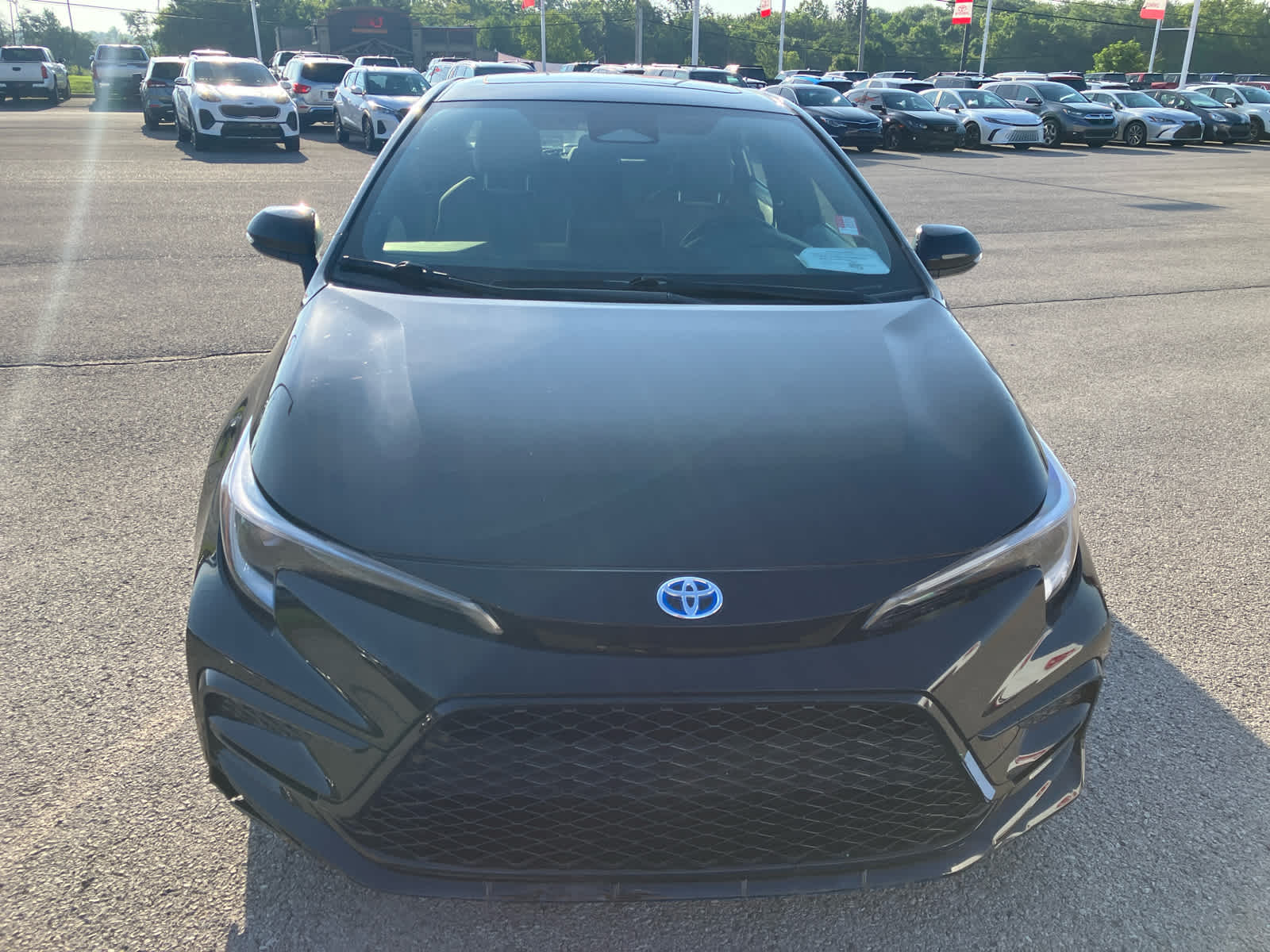 2023 Toyota Corolla Hybrid SE photo 2