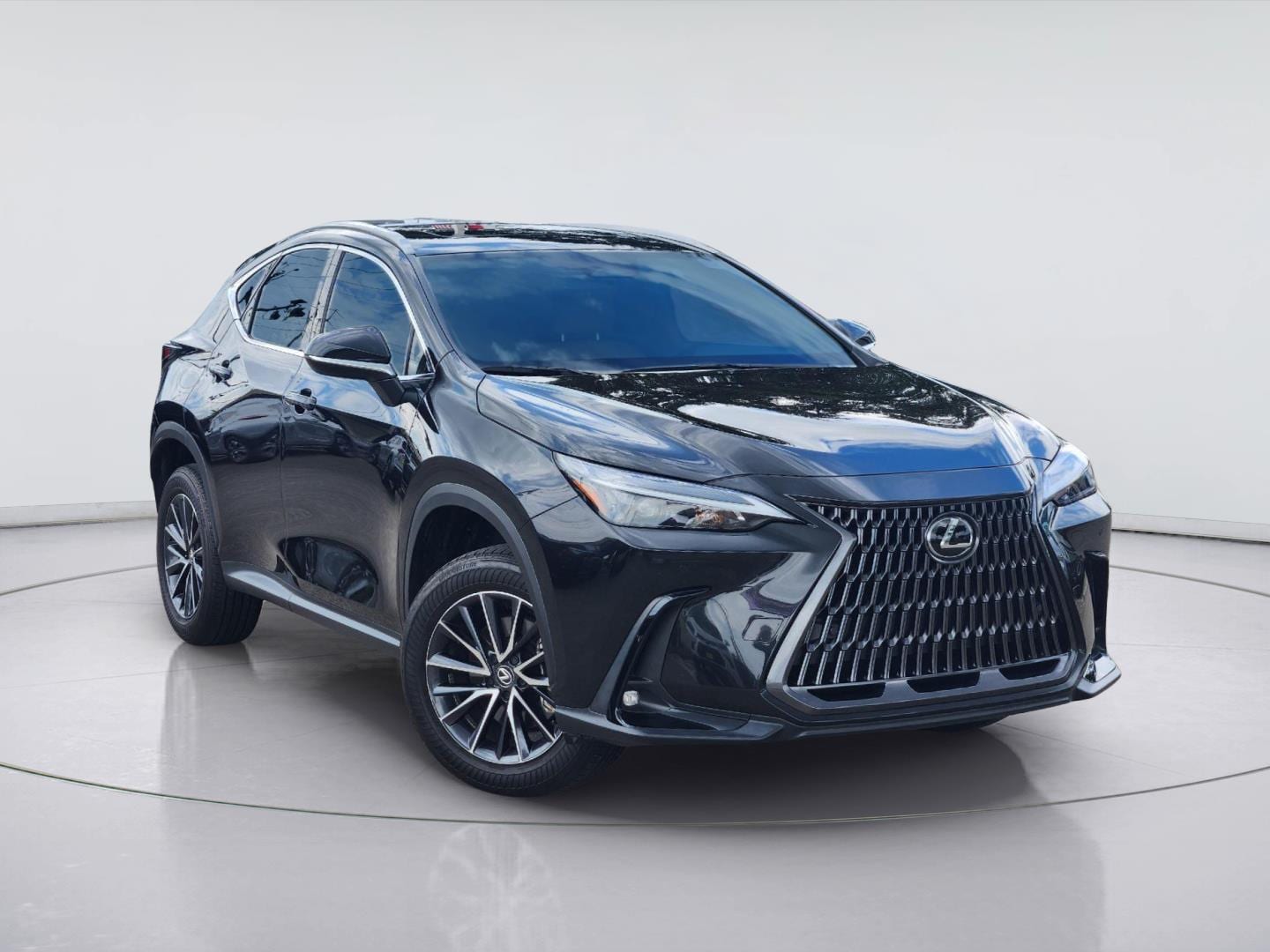 2025 Lexus NX 250