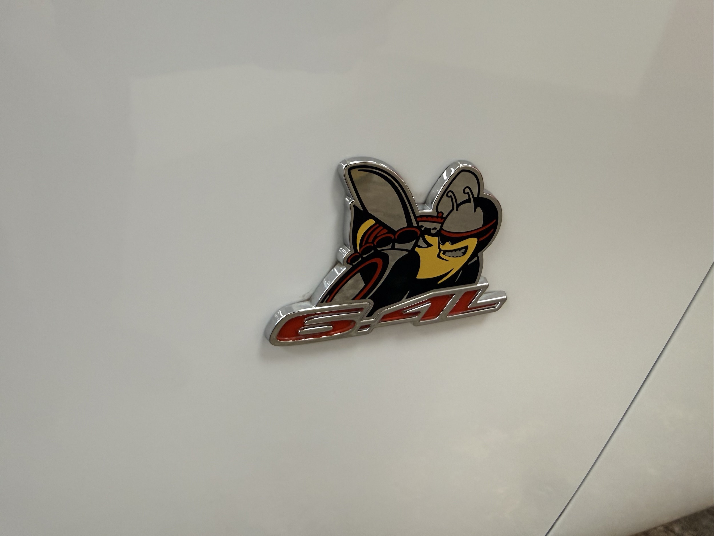 Photo 21