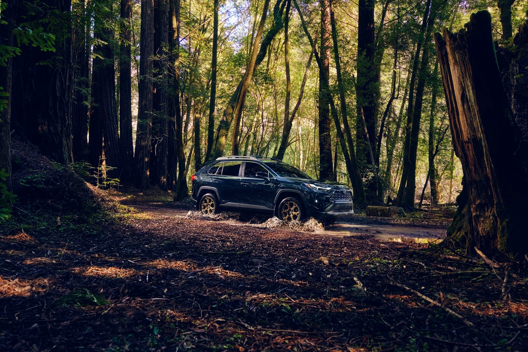 Toyota Dealer near Geneva WA