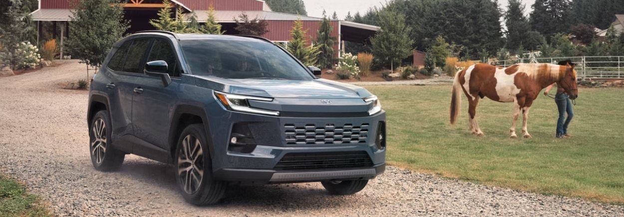 Toyota Rav4 trim levels