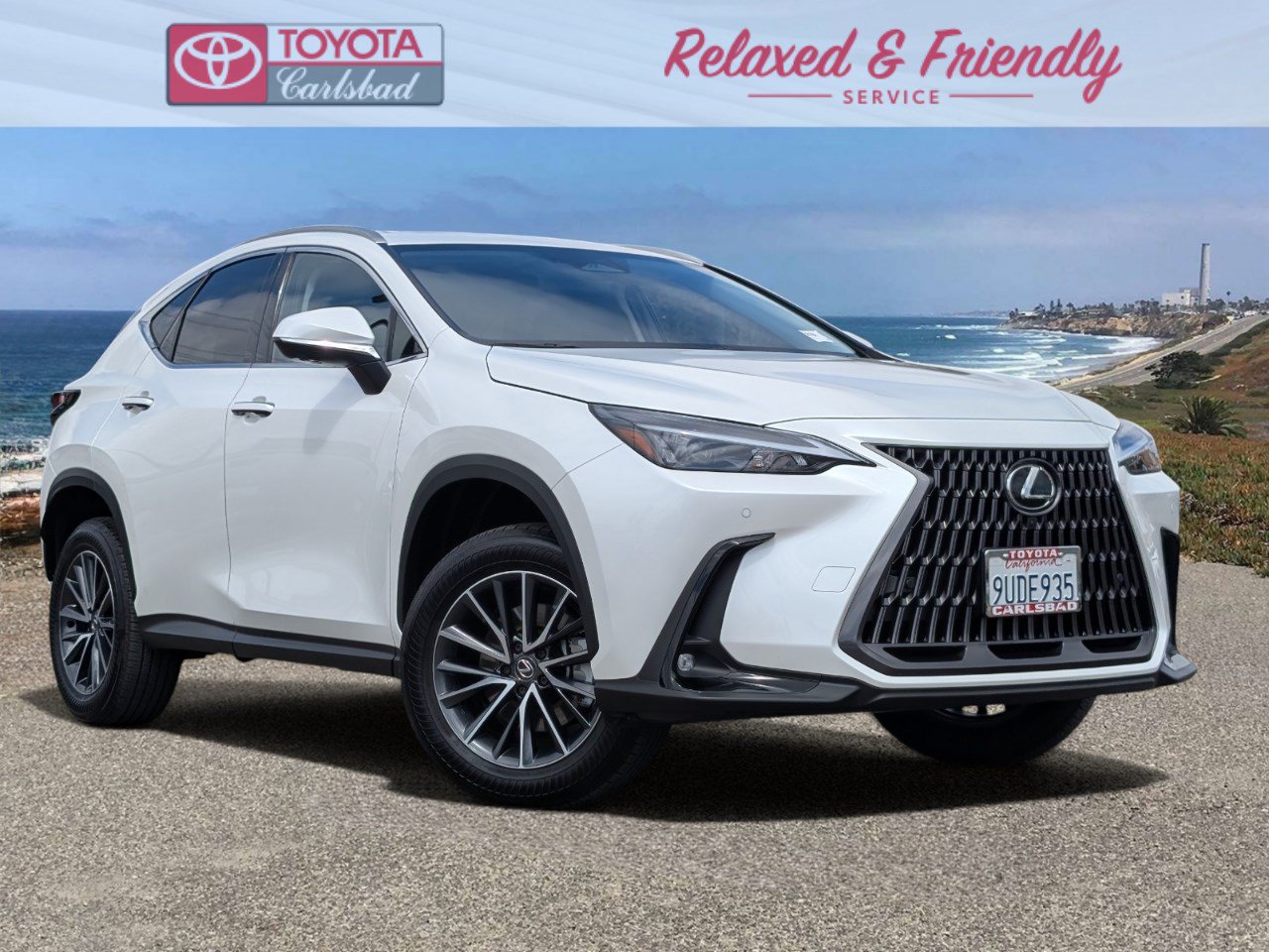 2025 Lexus NX 350h 350h Premium AWD's photo