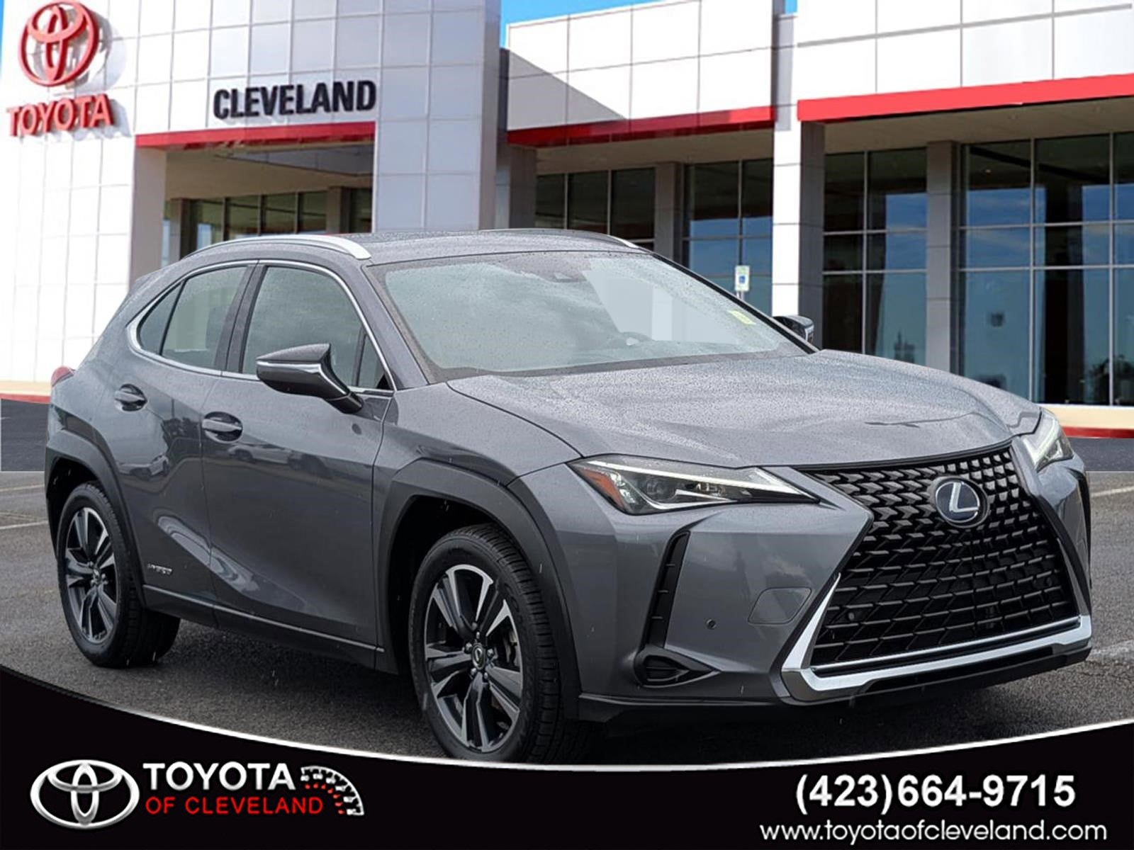 2021 Lexus UX 300h 250h AWD's photo