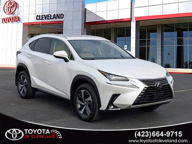 2021 Lexus NX 300's photo